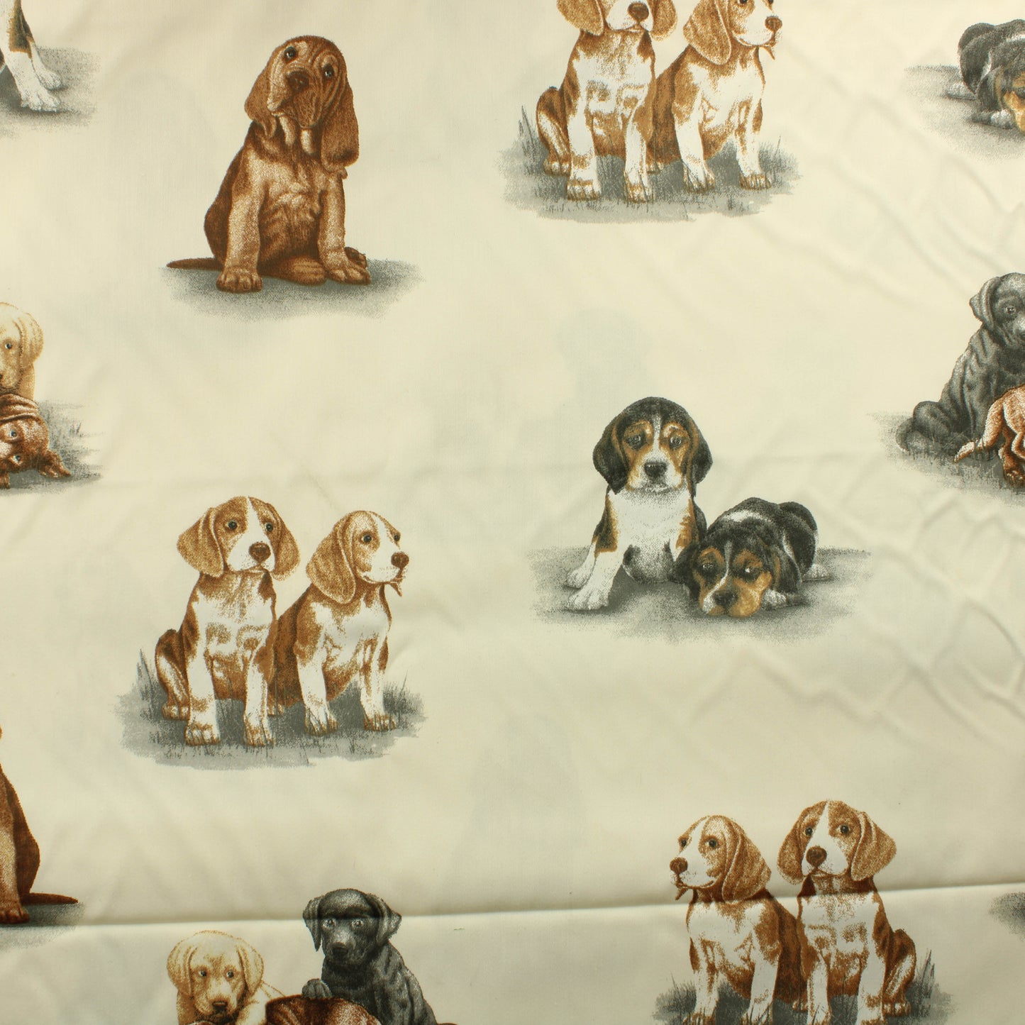 Koirat Puuvilla - Pala