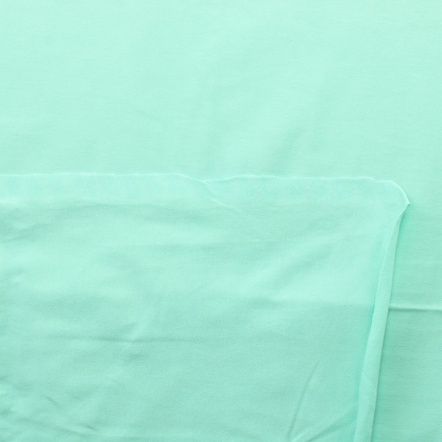 Minttu Trikoo - Pala