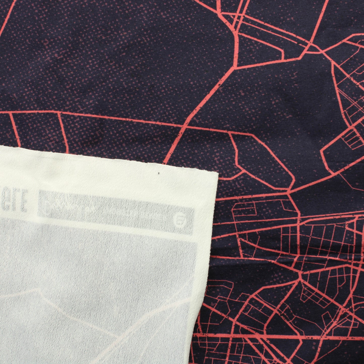 Swafing Urban Network JC - Pala