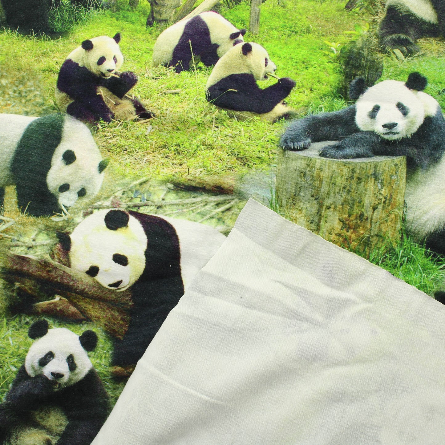 Panda Trikoo - Pala