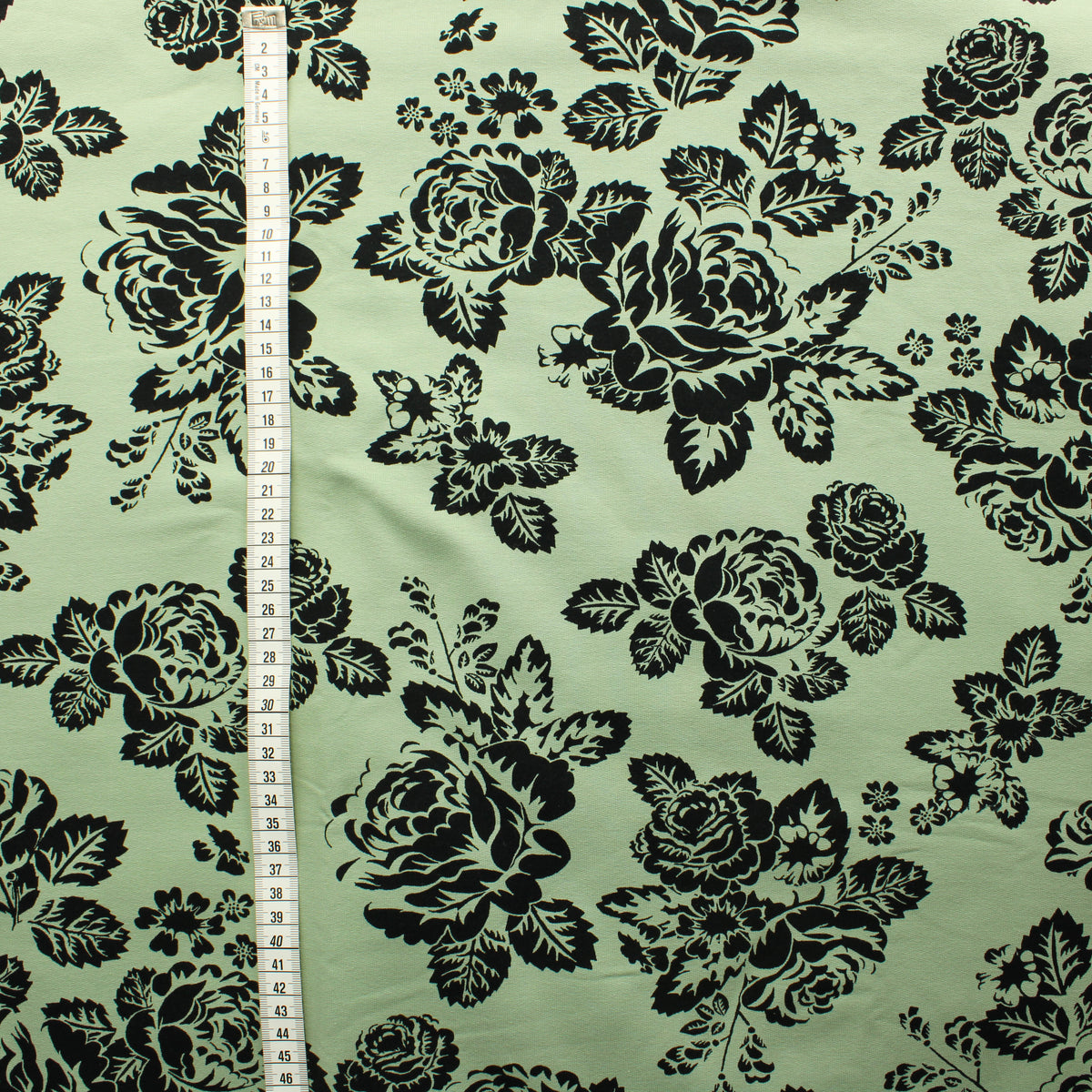 Ommellinen Babushka Roses Salvia JC - Pala