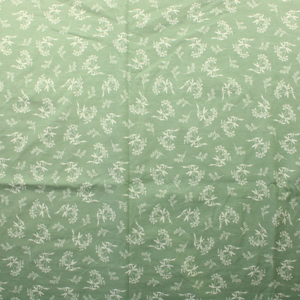 Koiranputket Trikoo - Pala