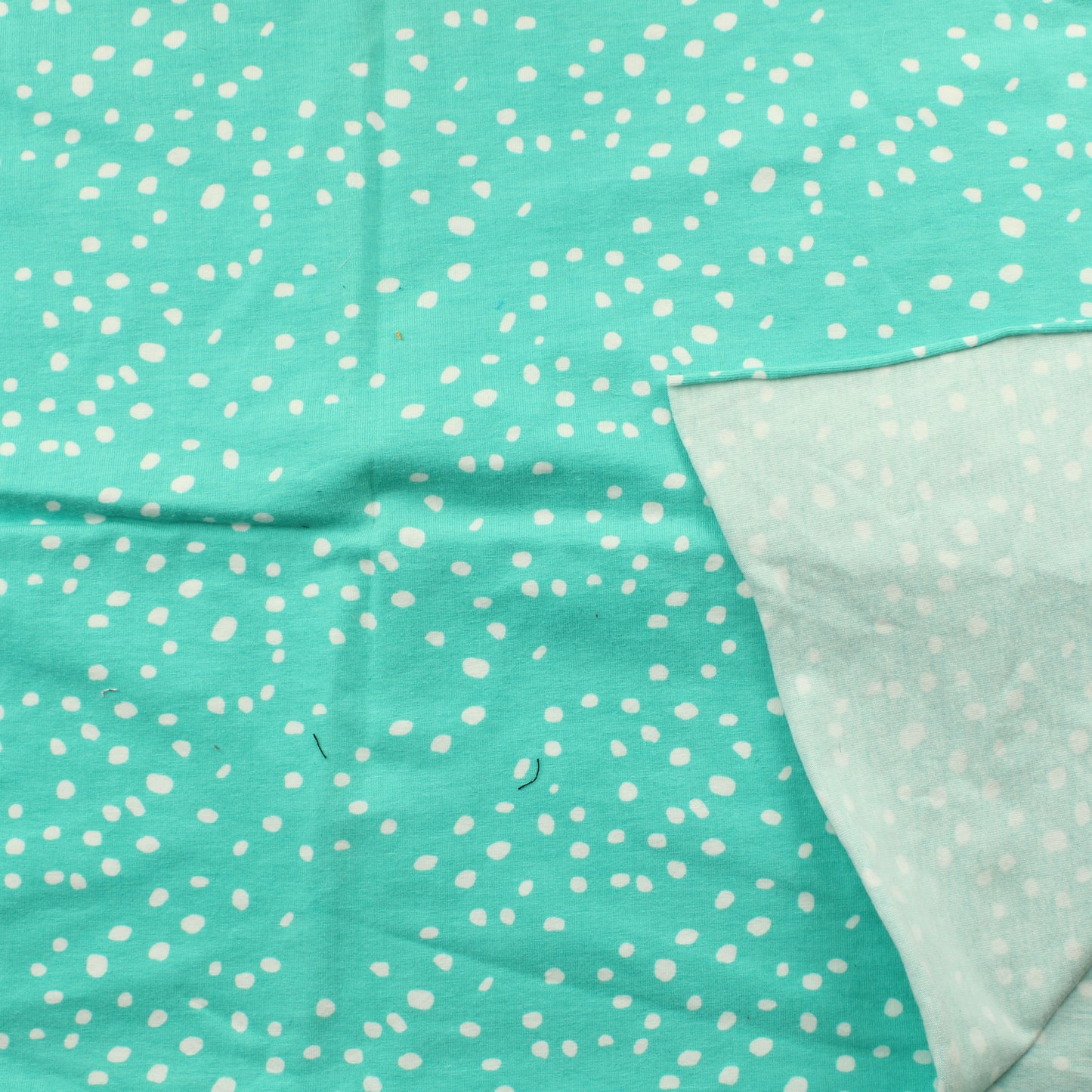 Paapii Trikoo - Pala