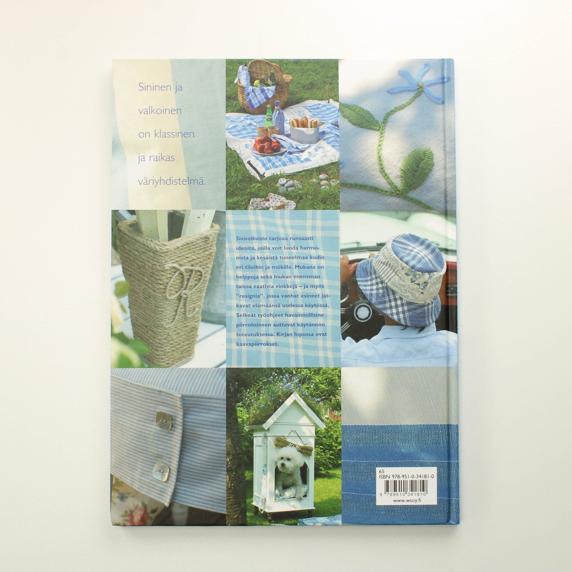 Marianne Arnesen, Rudolf Helberg: Sinivalkoista, iloisia ideoita kotiin