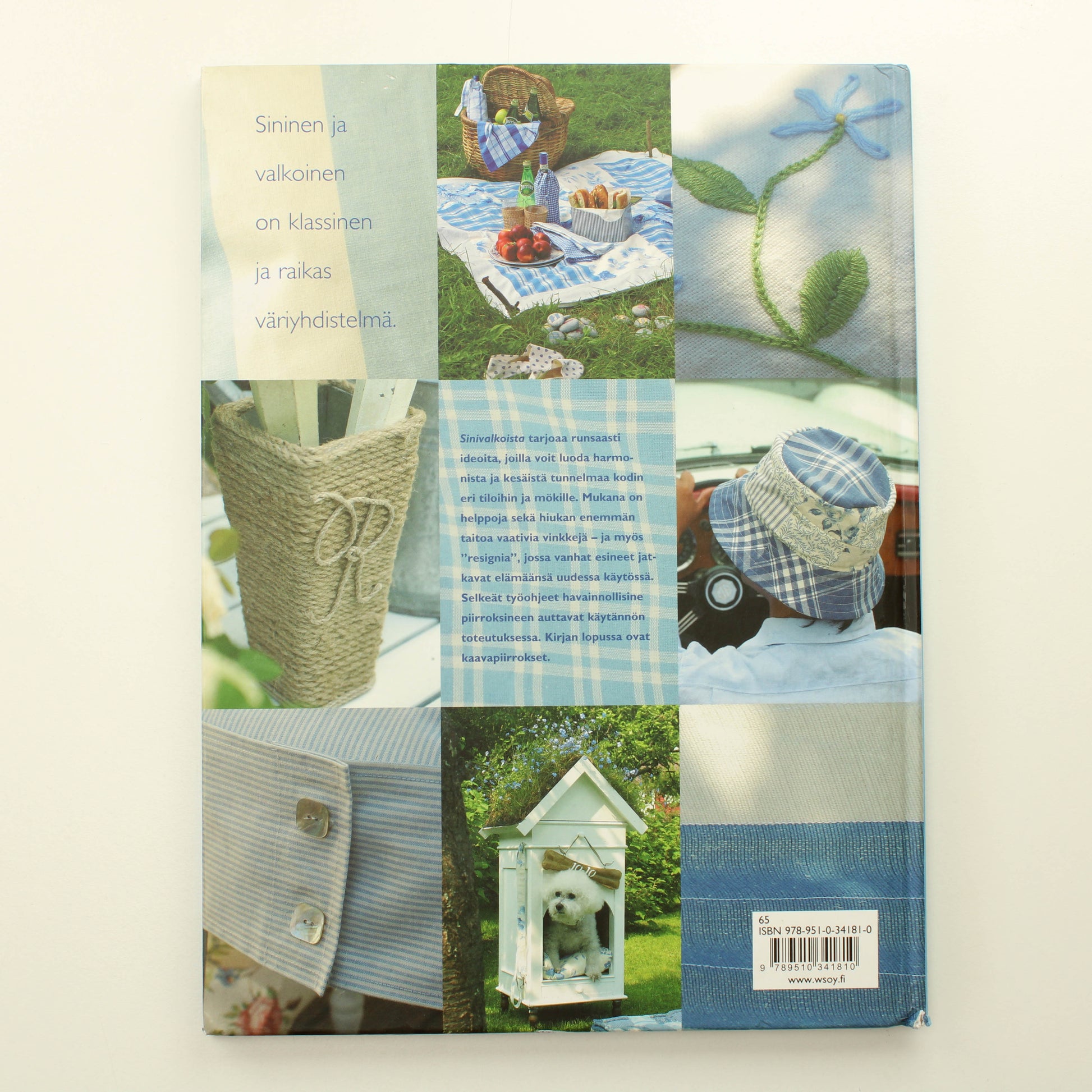 Marianne Arnesen, Rudolf Helberg: Sinivalkoista, iloisia ideoita kotiin