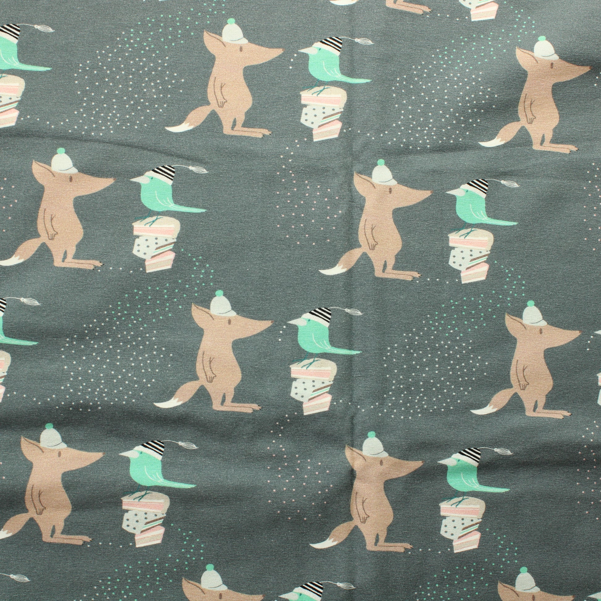 Kettu ja lintu Trikoo - Pala