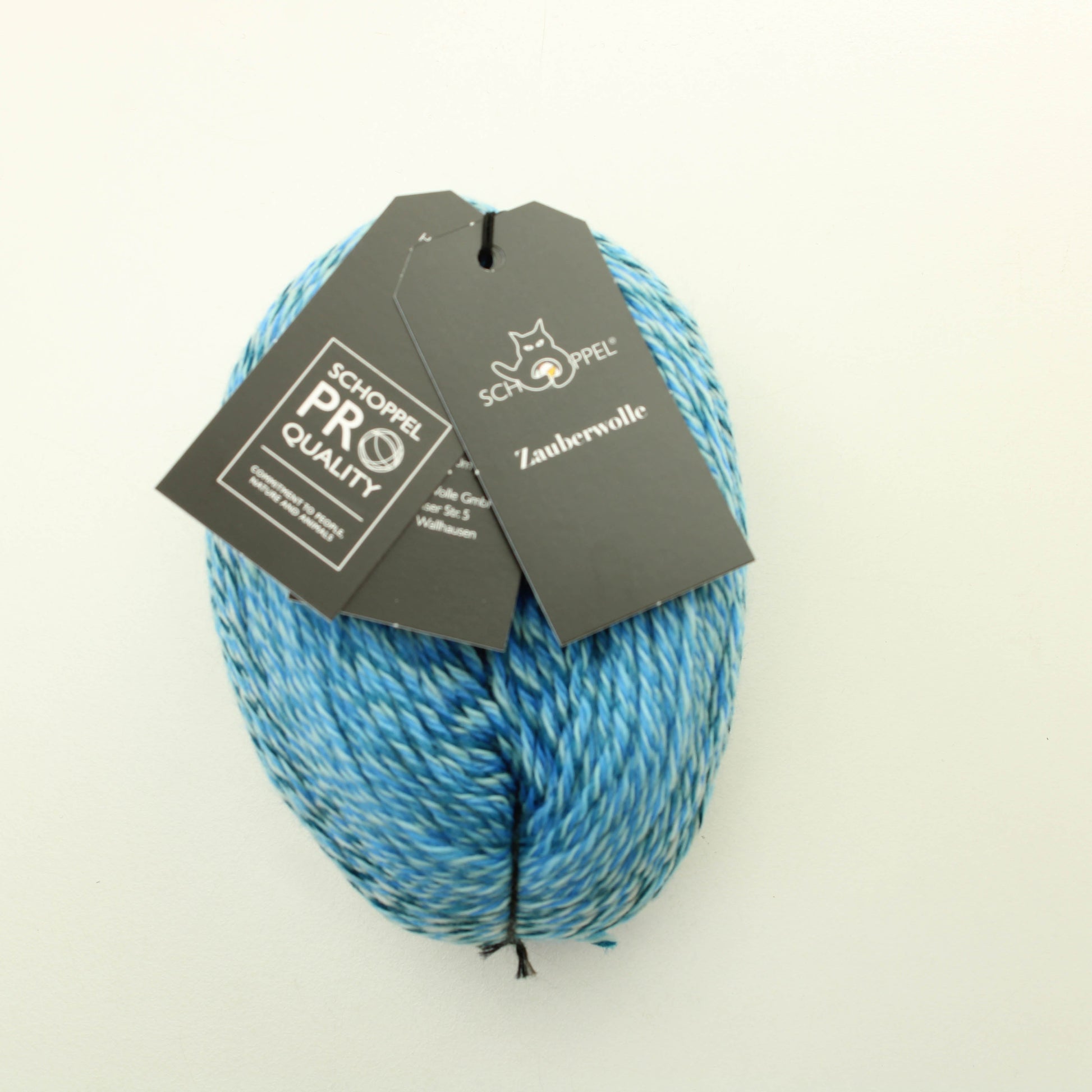 Schoppel Wolle Zauberwolle - 2507