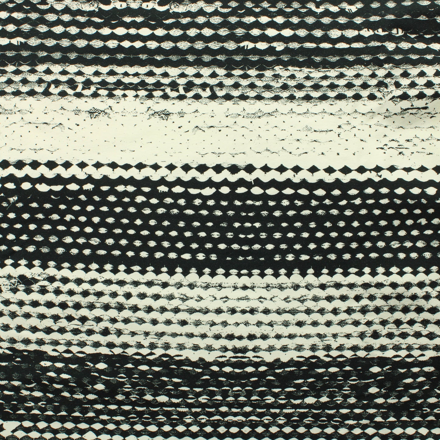 Nora Bisi Muva Rasy Trikoo - Pala