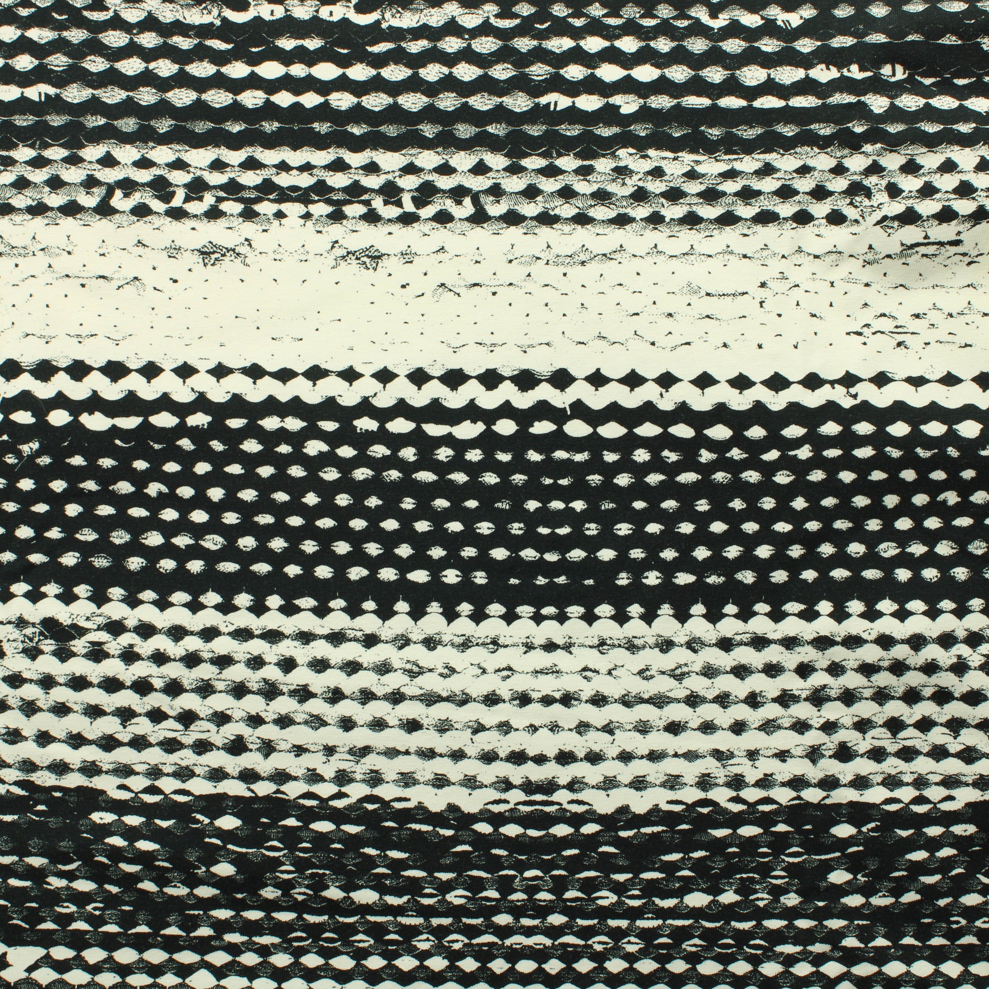 Nora Bisi Muva Rasy Trikoo - Pala