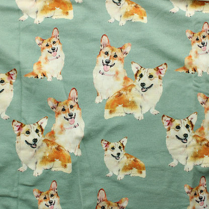 Hento Style Corgi JC - Palapaketti