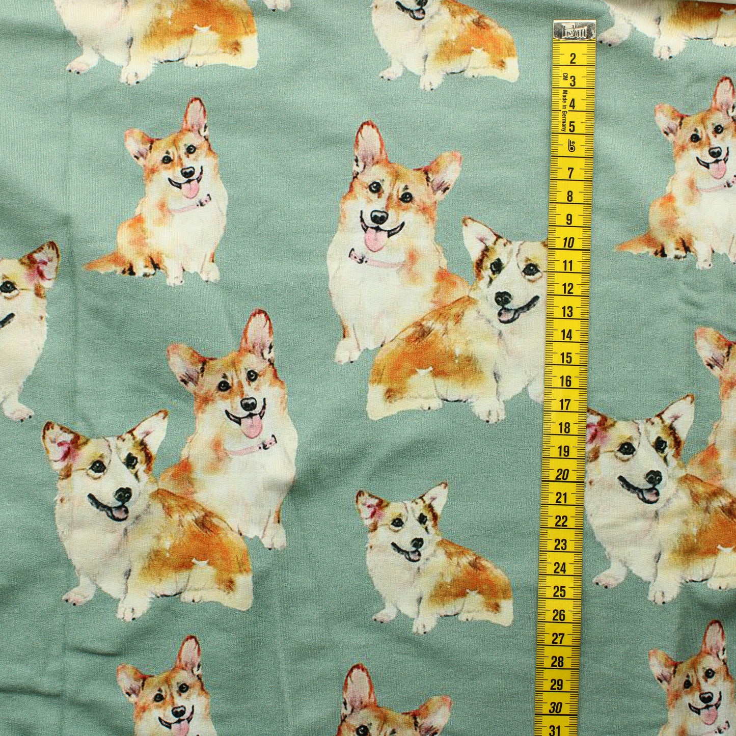 Hento Style Corgi JC - Palapaketti