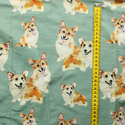 Hento Style Corgi JC - Palapaketti