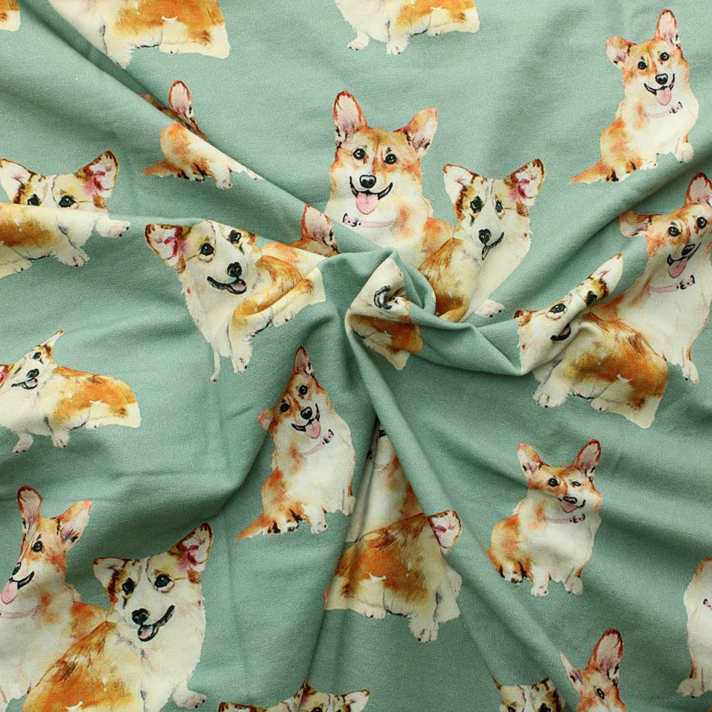 Hento Style Corgi JC - Palapaketti