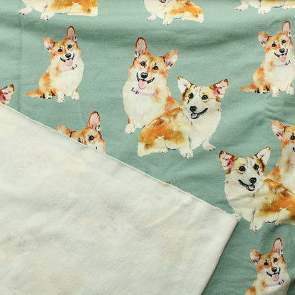 Hento Style Corgi JC - Palapaketti
