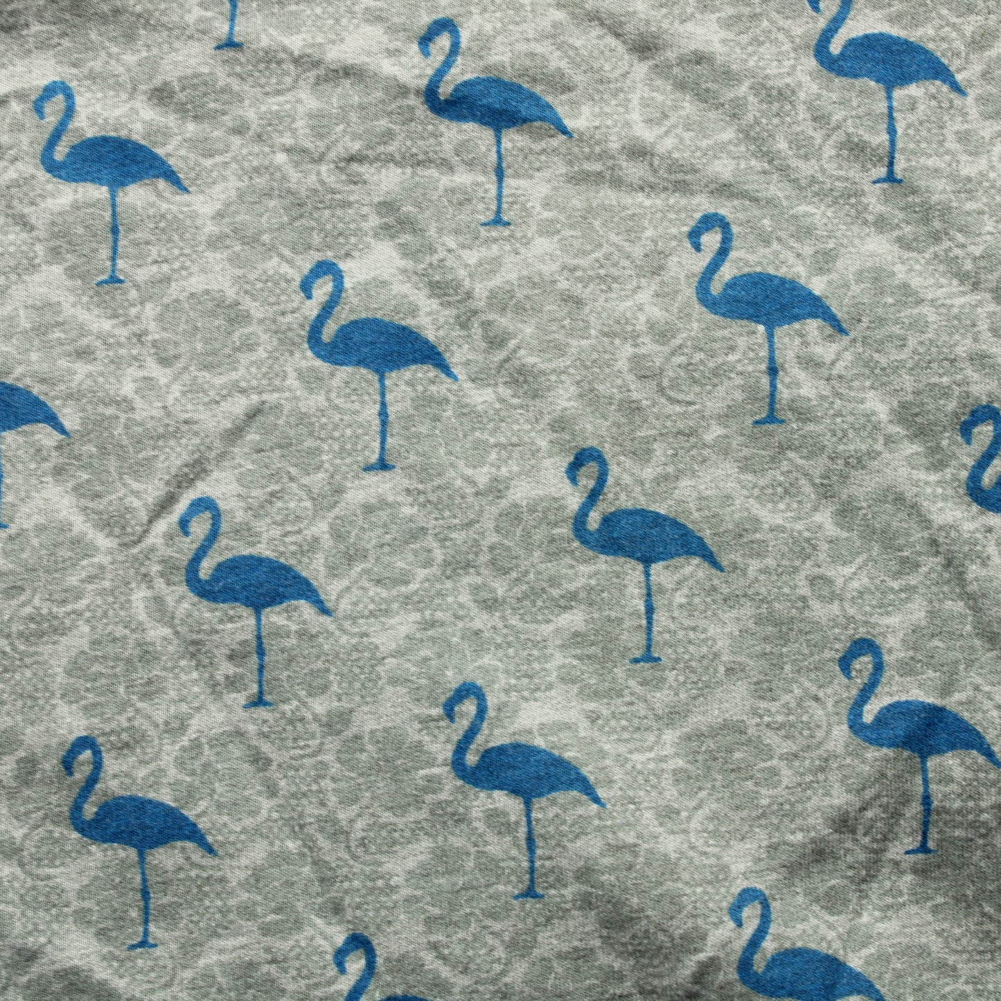 Flamingo College - Pala