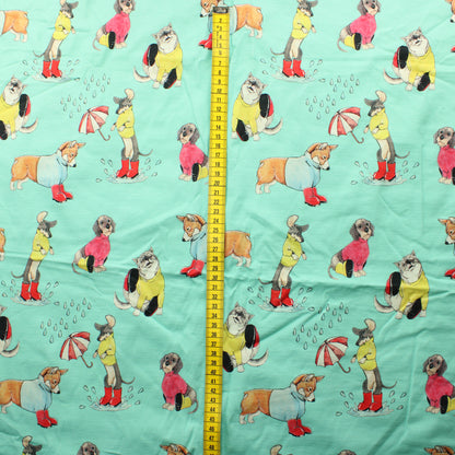 Ehta Dream Circus Kumpparikaverit Trikoo - Palapaketti