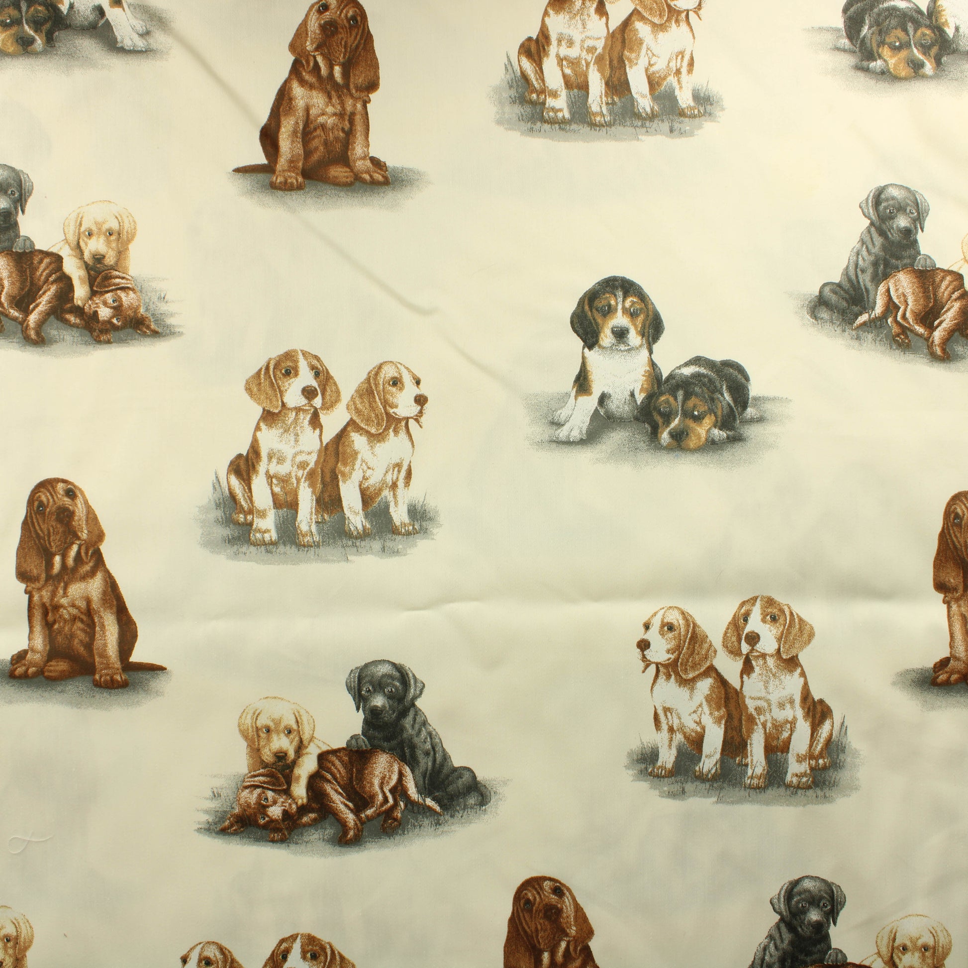 Koirat Puuvilla - Pala