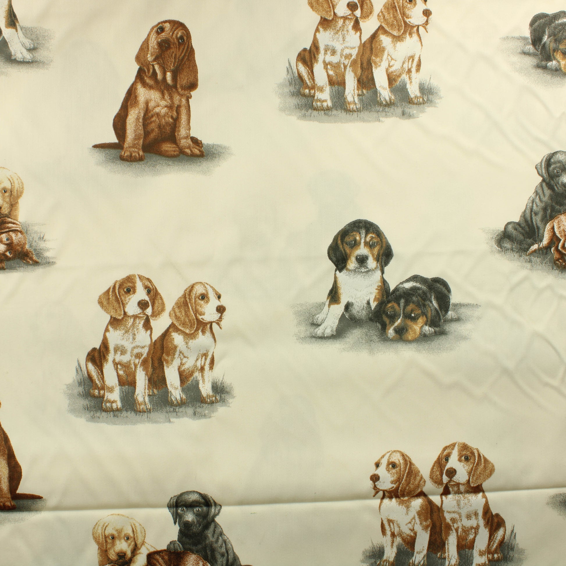 Koirat Puuvilla - Pala