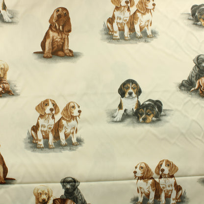 Koirat Puuvilla - Pala