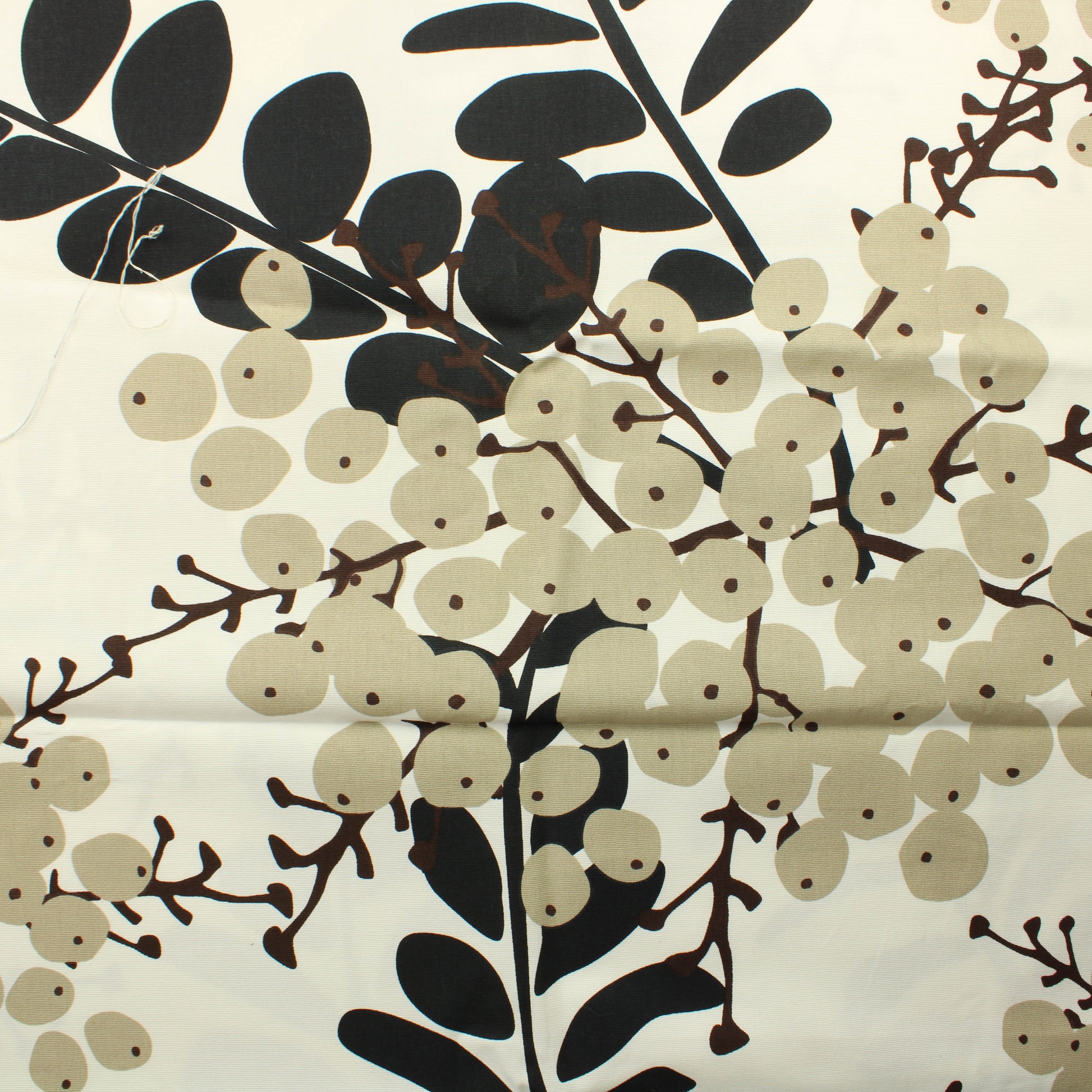 Bilberry Puuvilla - Pala