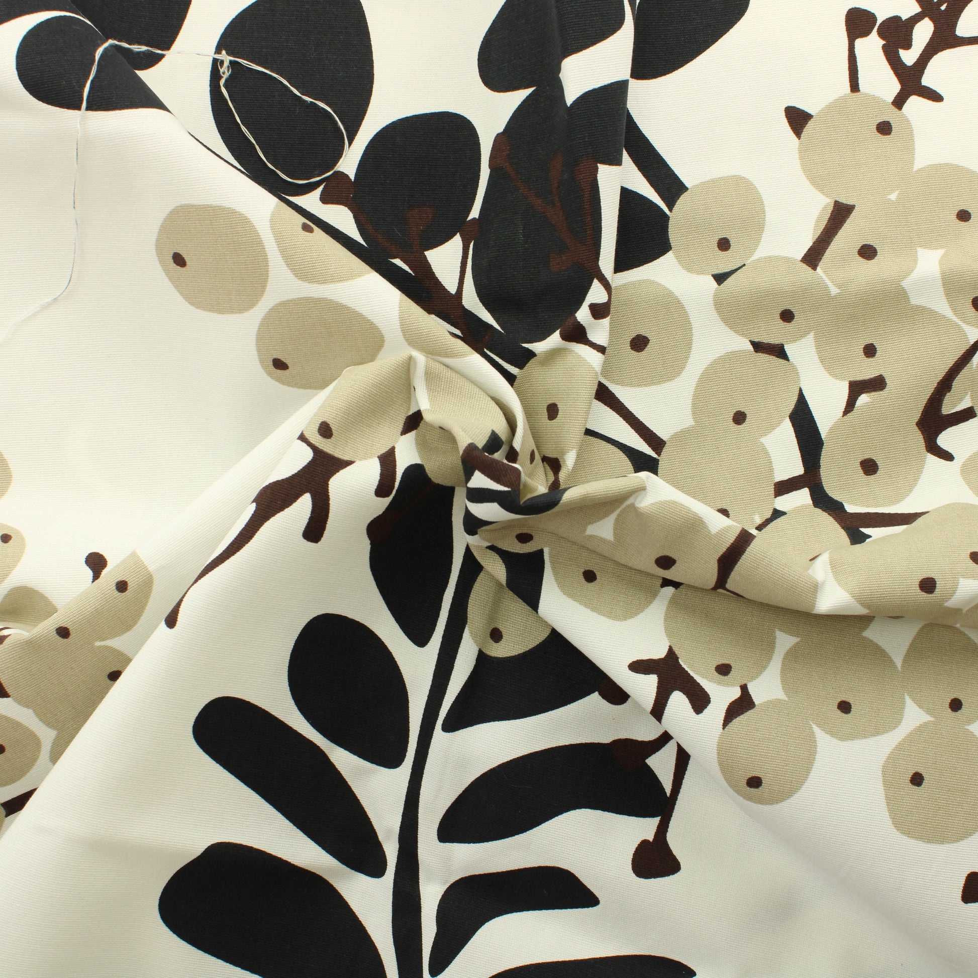 Bilberry Puuvilla - Pala