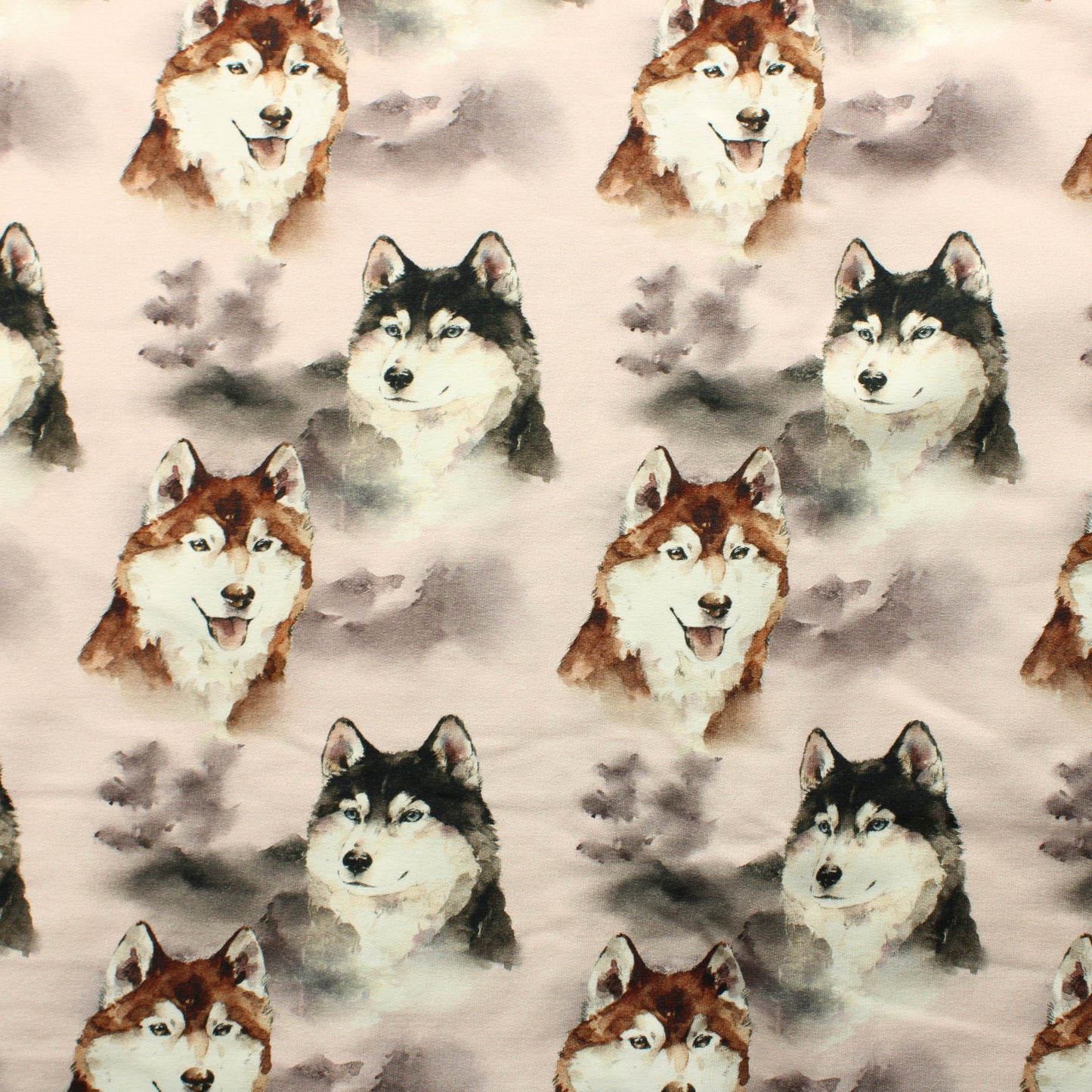 Hento Style Koira JC - Pala