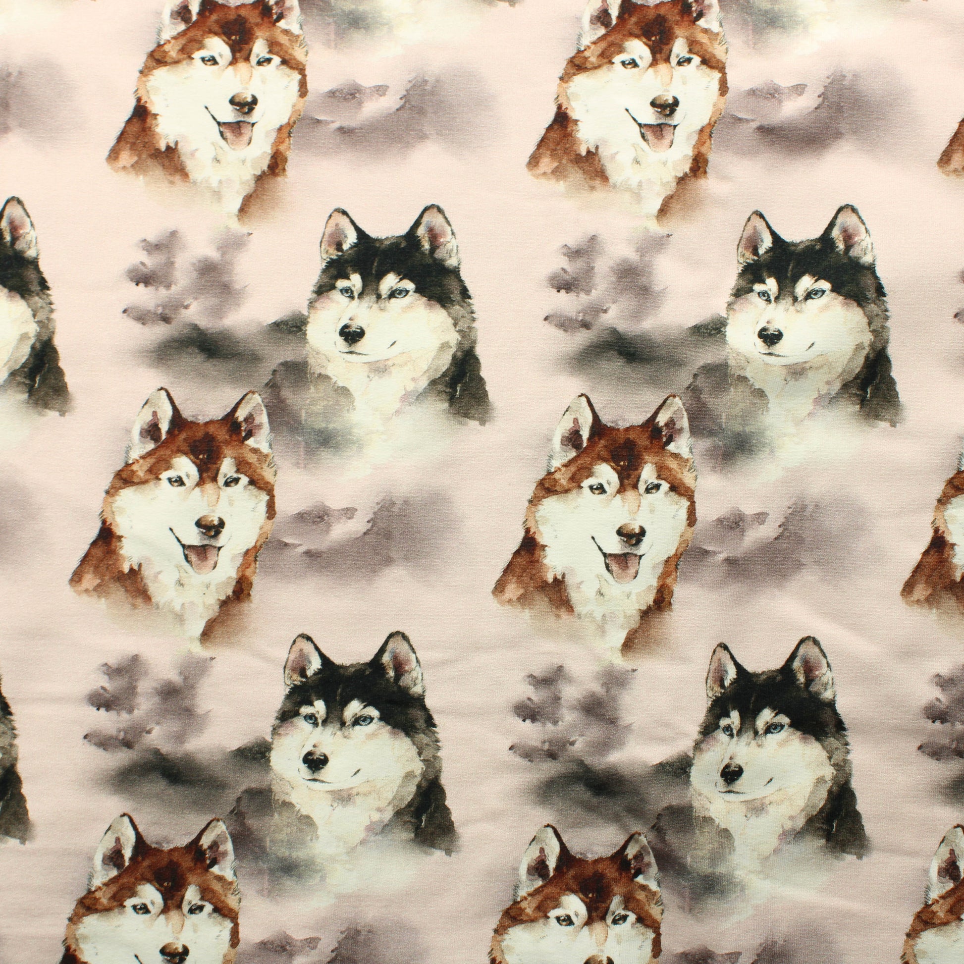 Hento Style Koira JC - Pala