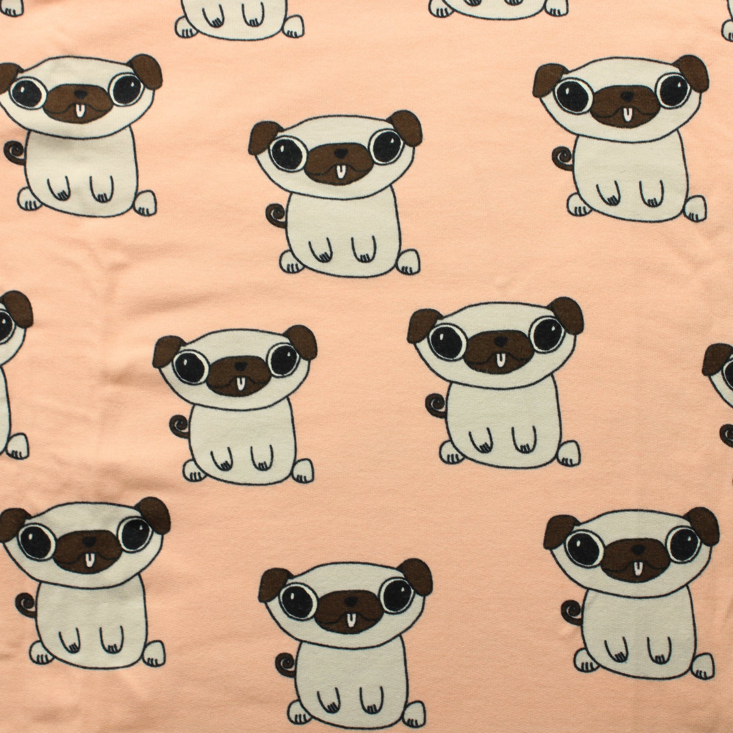 Elvelyckan Mopsi JC - Pala