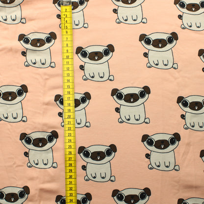 Elvelyckan Mopsi JC - Pala