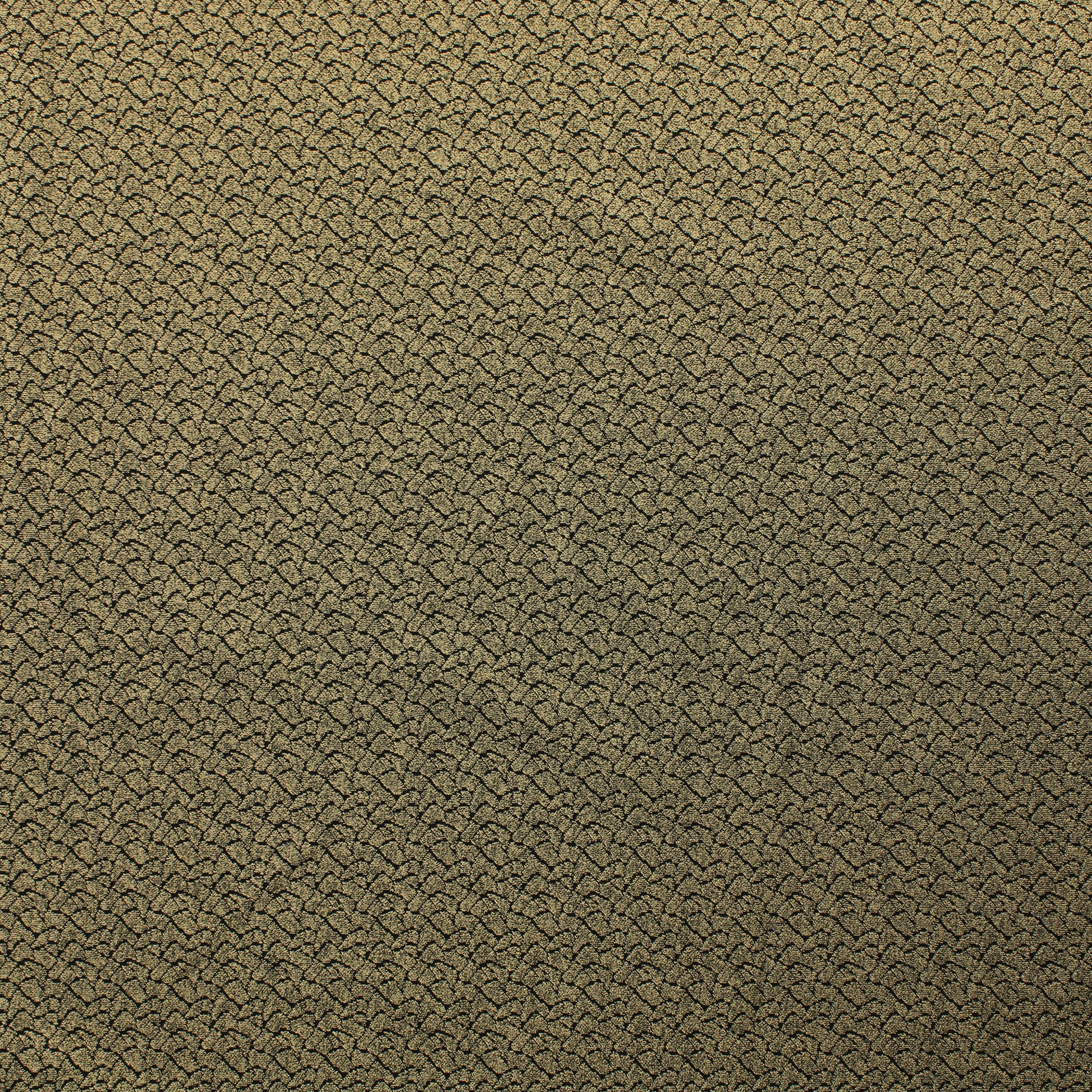 Beigemusta kuvioitu Neulos - Pala