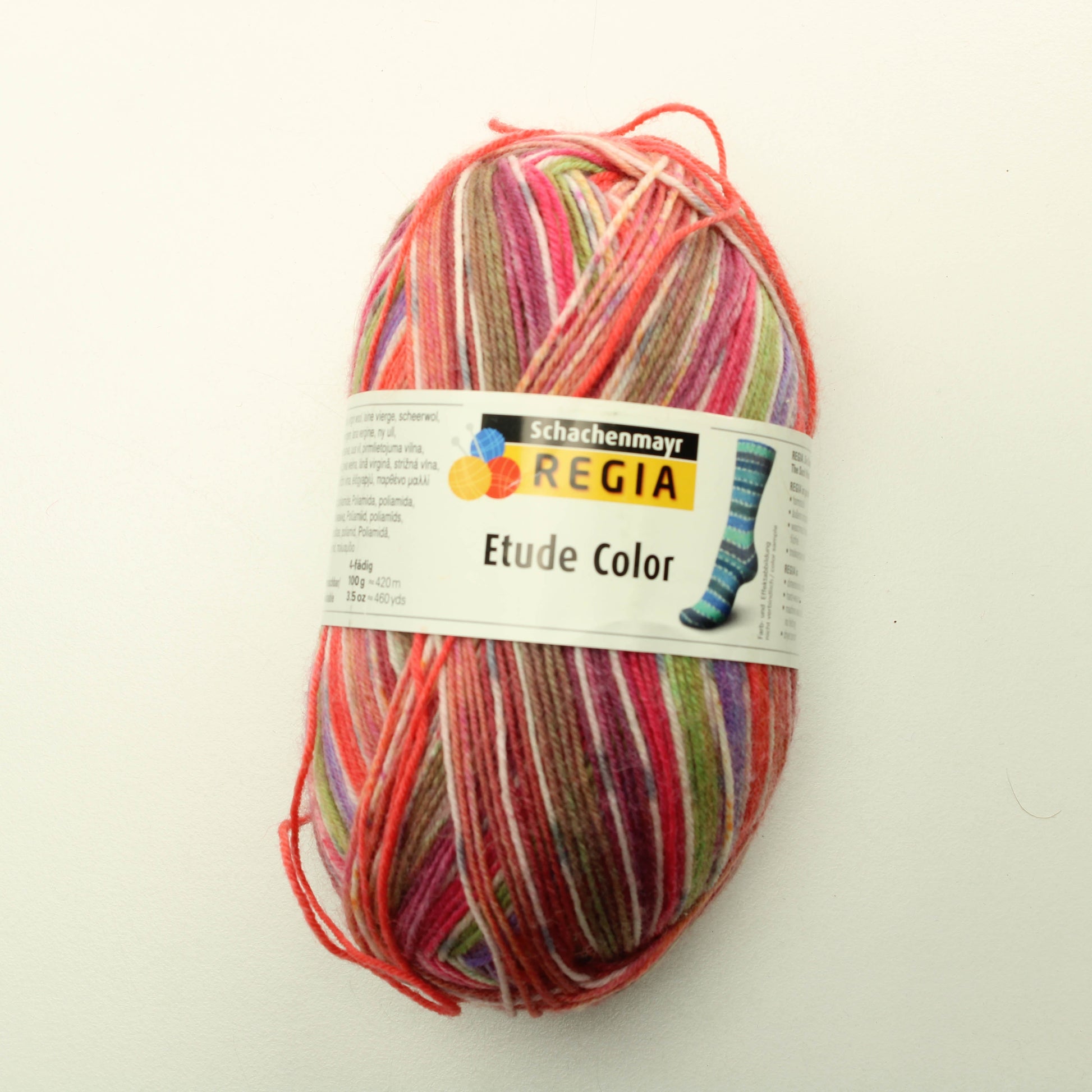 Schachenmayr Regia 4-fädig - Etude Color 04891