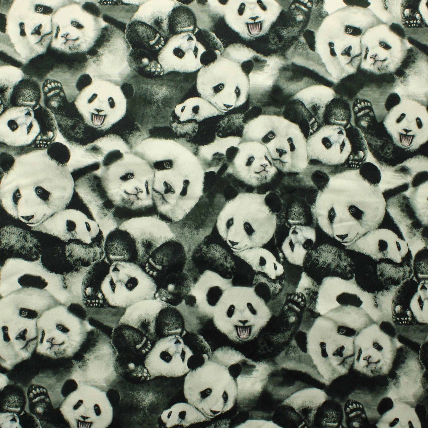 Mainelakeus Pandahali Trikoo - Pala