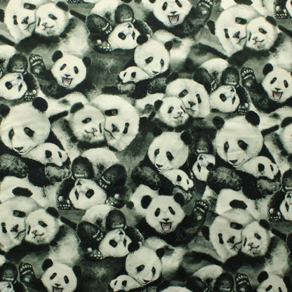 Mainelakeus Pandahali Trikoo - Pala