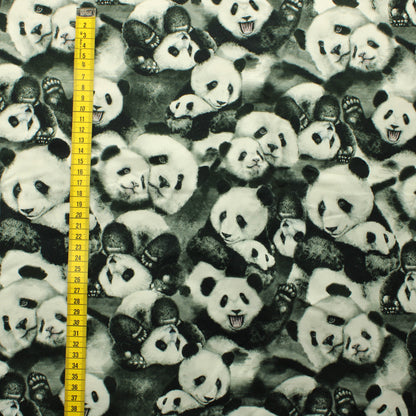 Mainelakeus Pandahali Trikoo - Pala