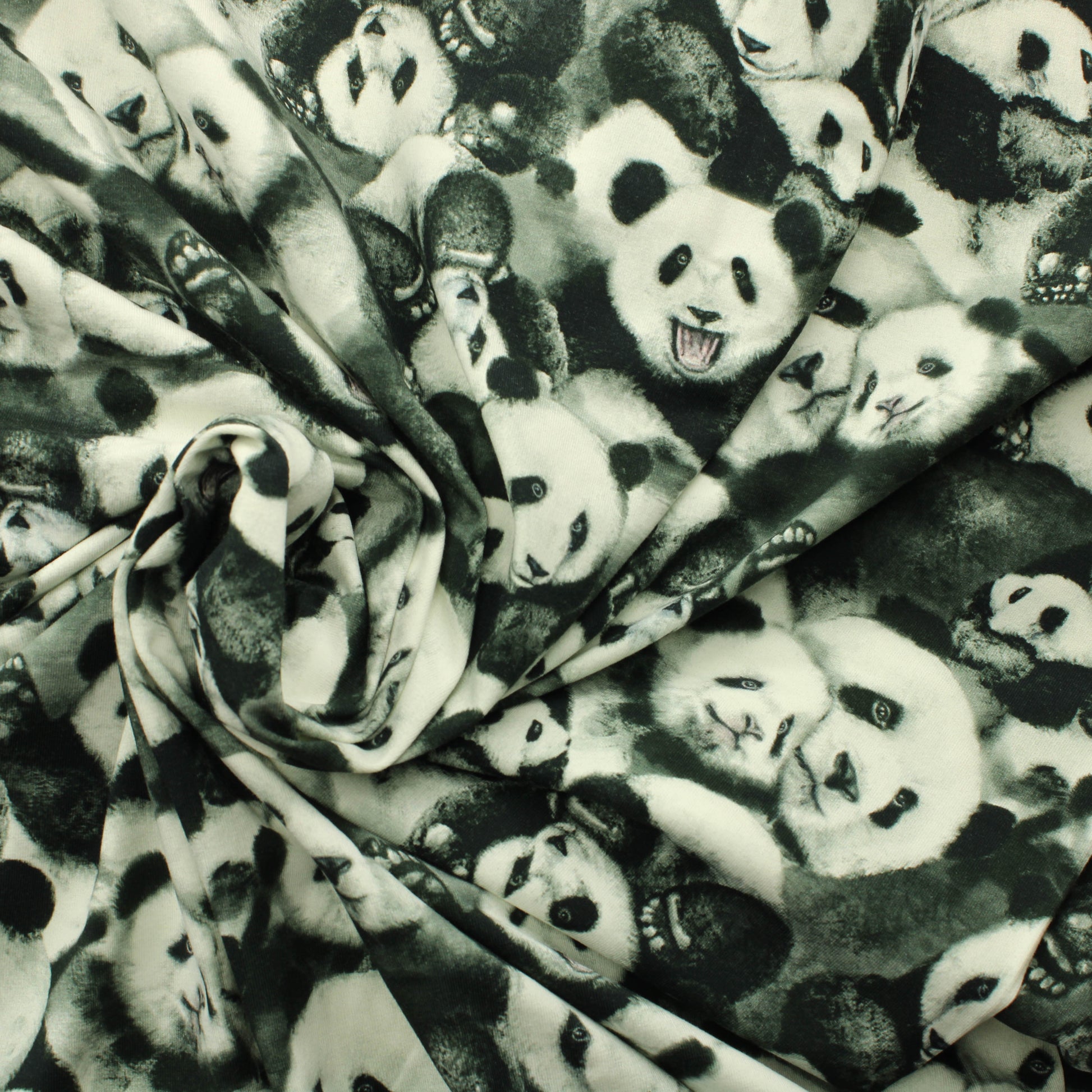 Mainelakeus Pandahali Trikoo - Pala