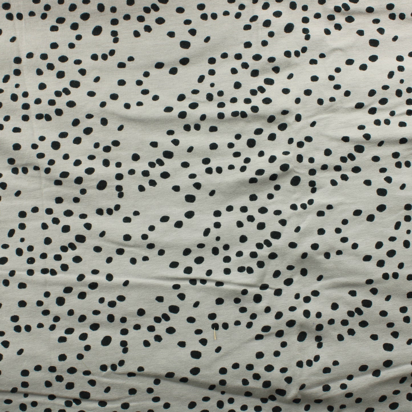 Paapii Trikoo - Pala