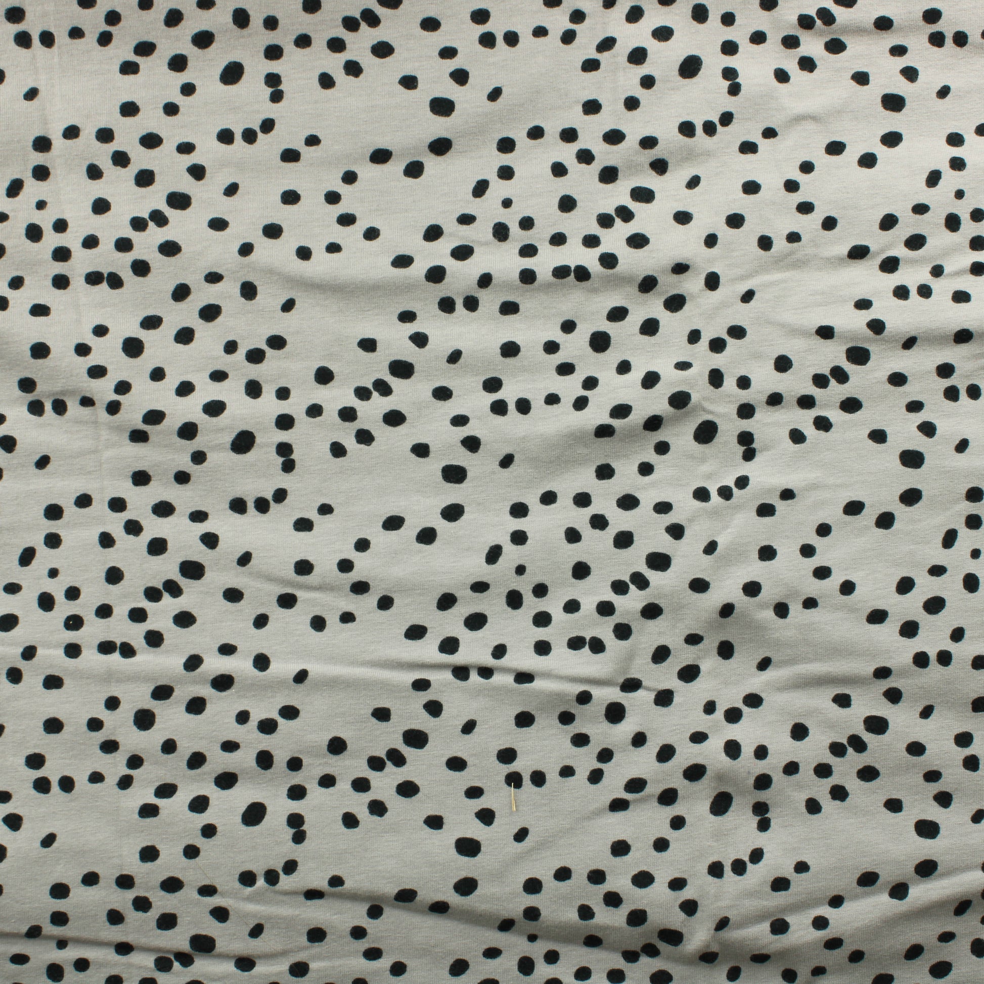 Paapii Trikoo - Pala