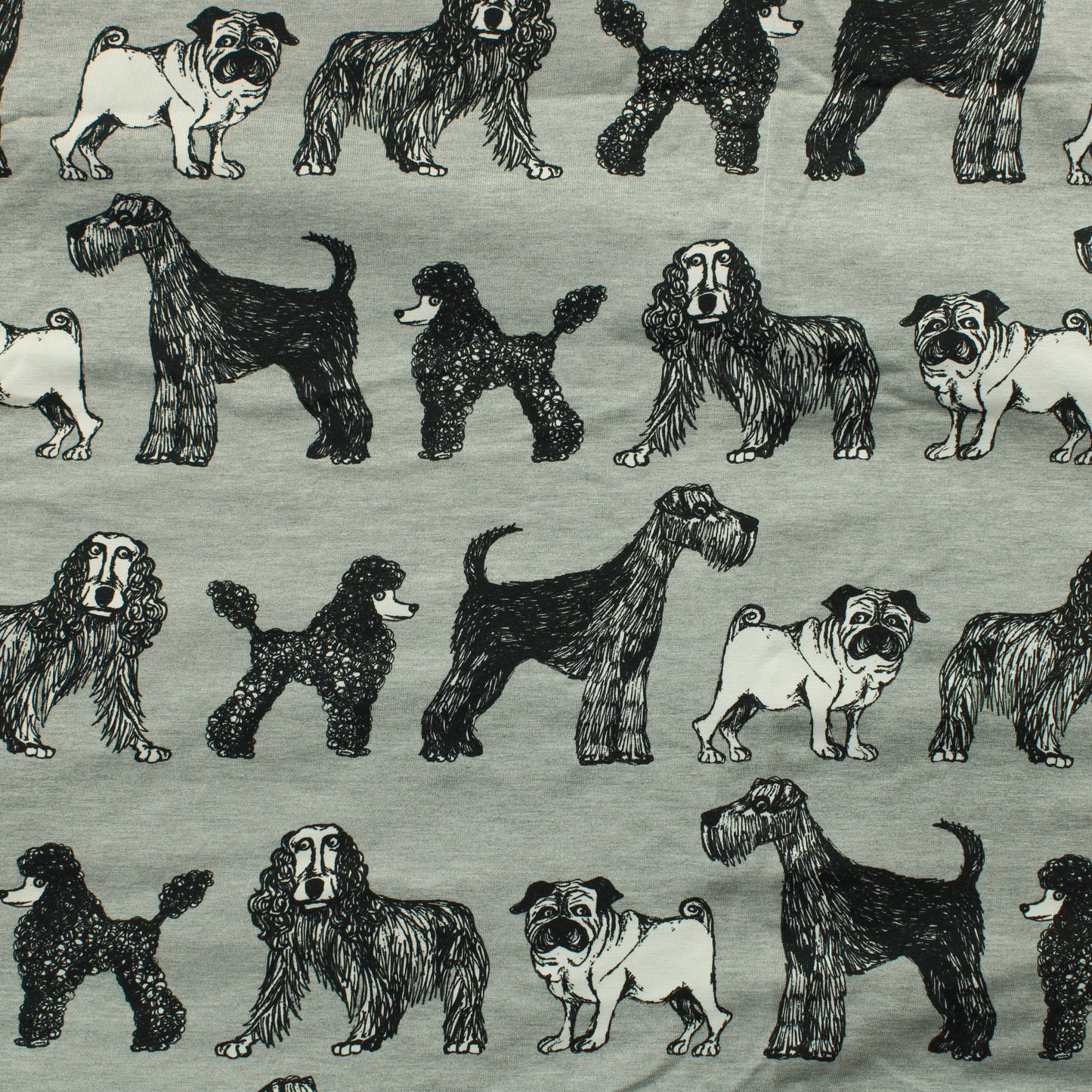 Verson Puoti koira Trikoo - Pala