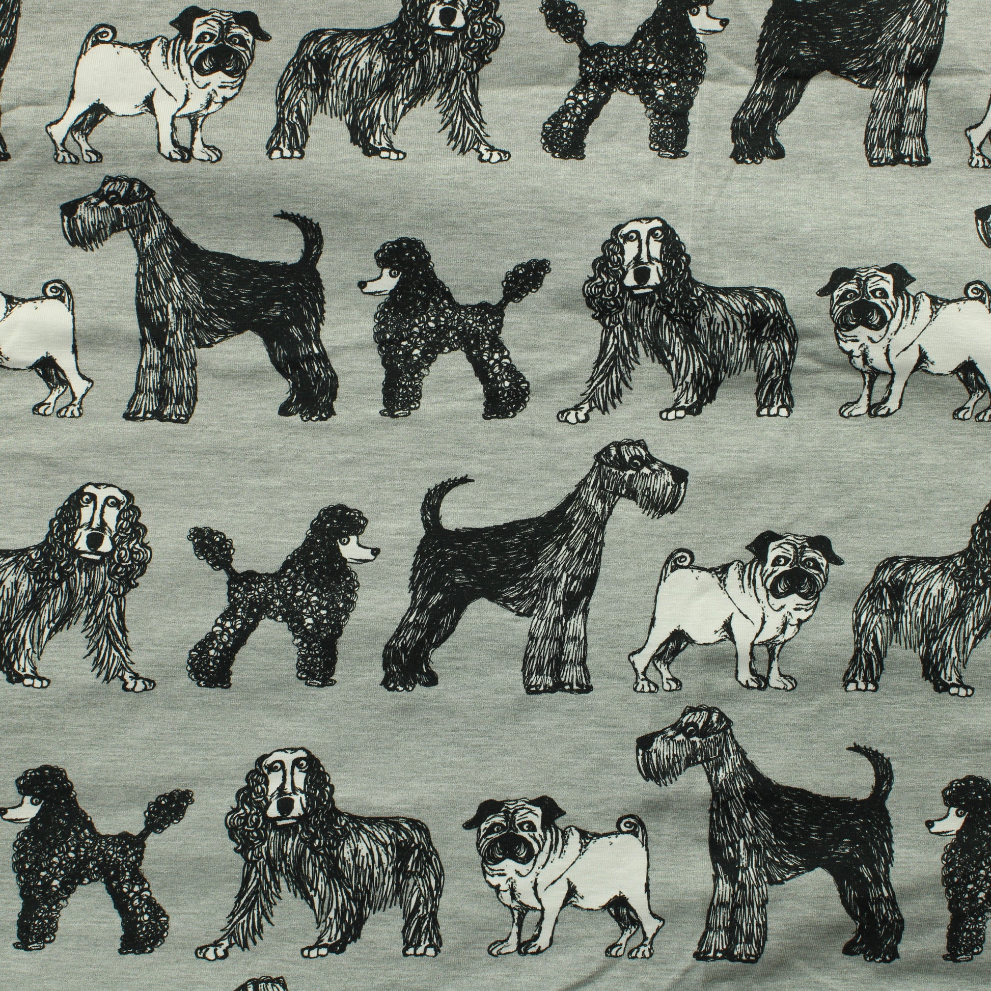 Verson Puoti koira Trikoo - Pala