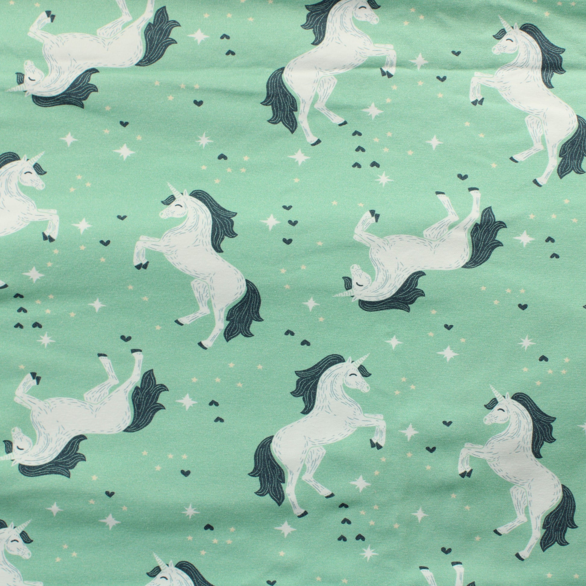 Yksisarviset Trikoo - Pala