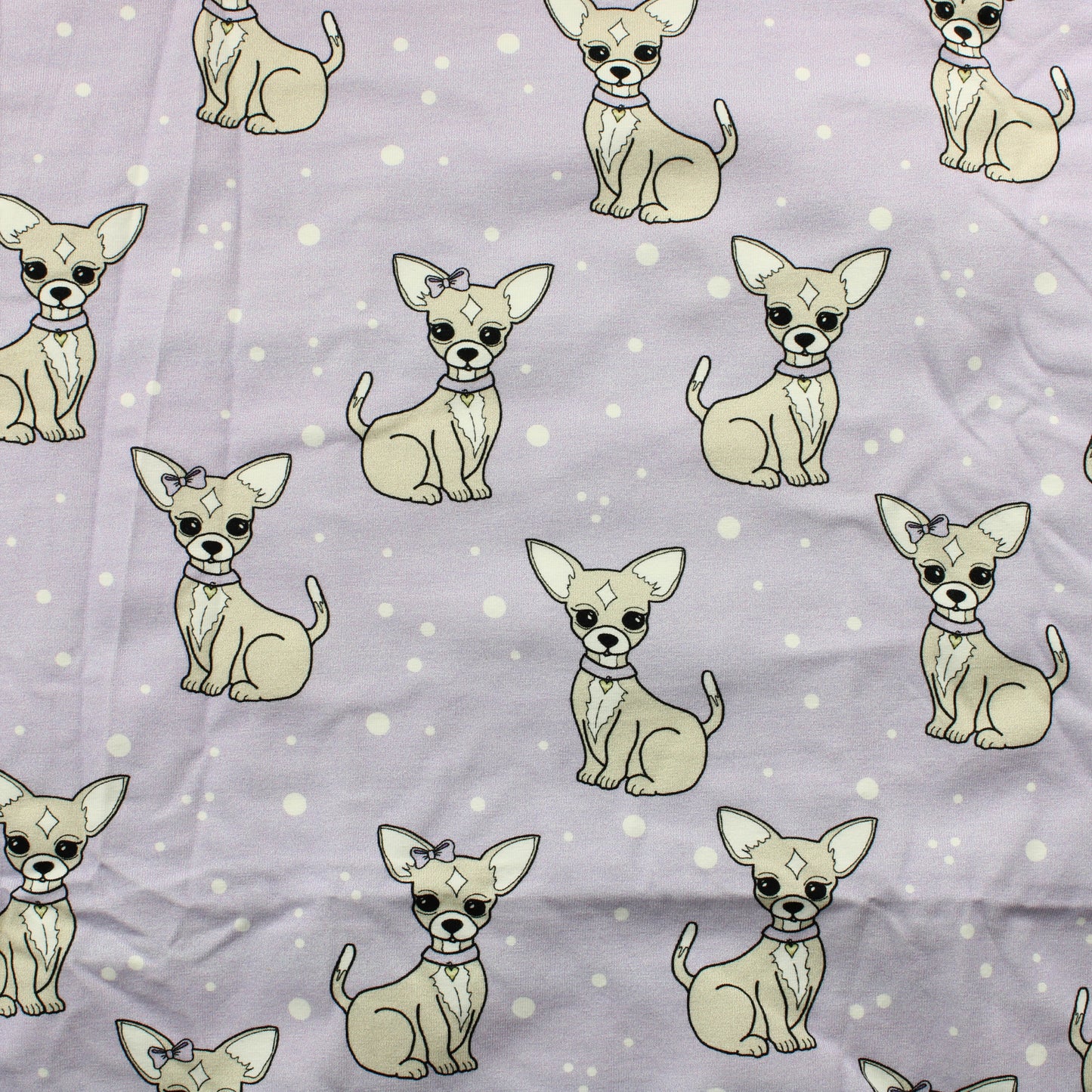 Chihuahua Trikoo - Pala