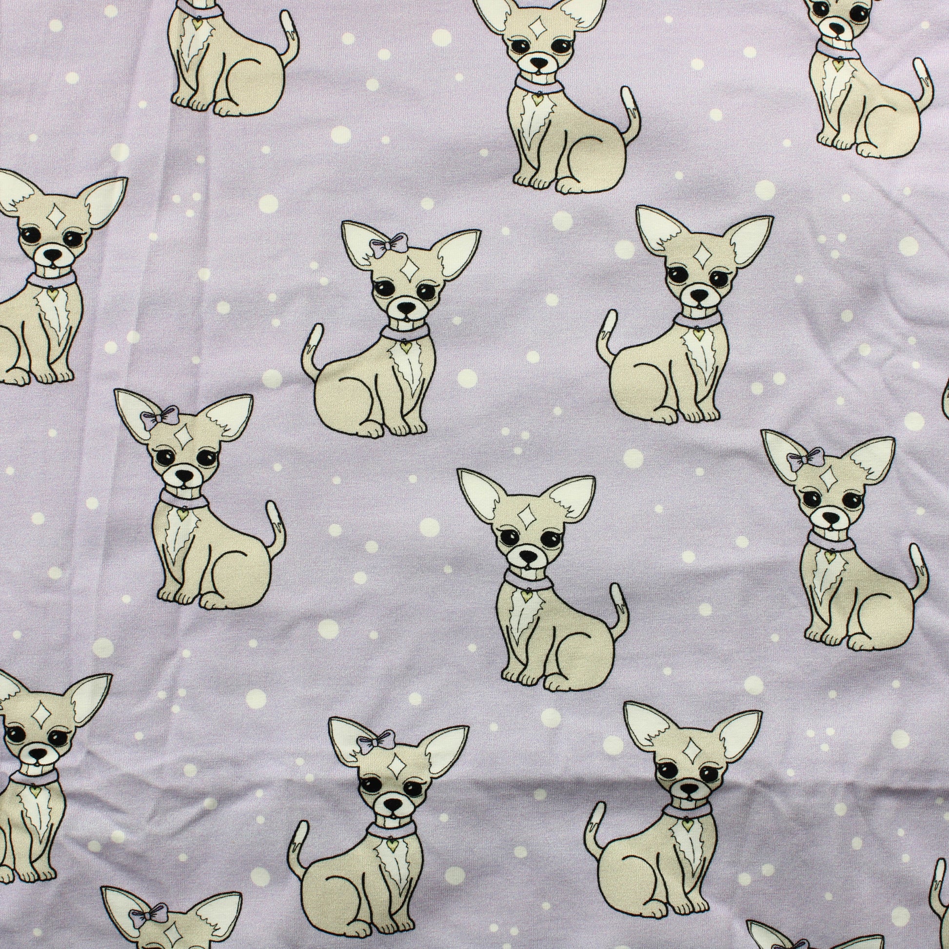 Chihuahua Trikoo - Pala