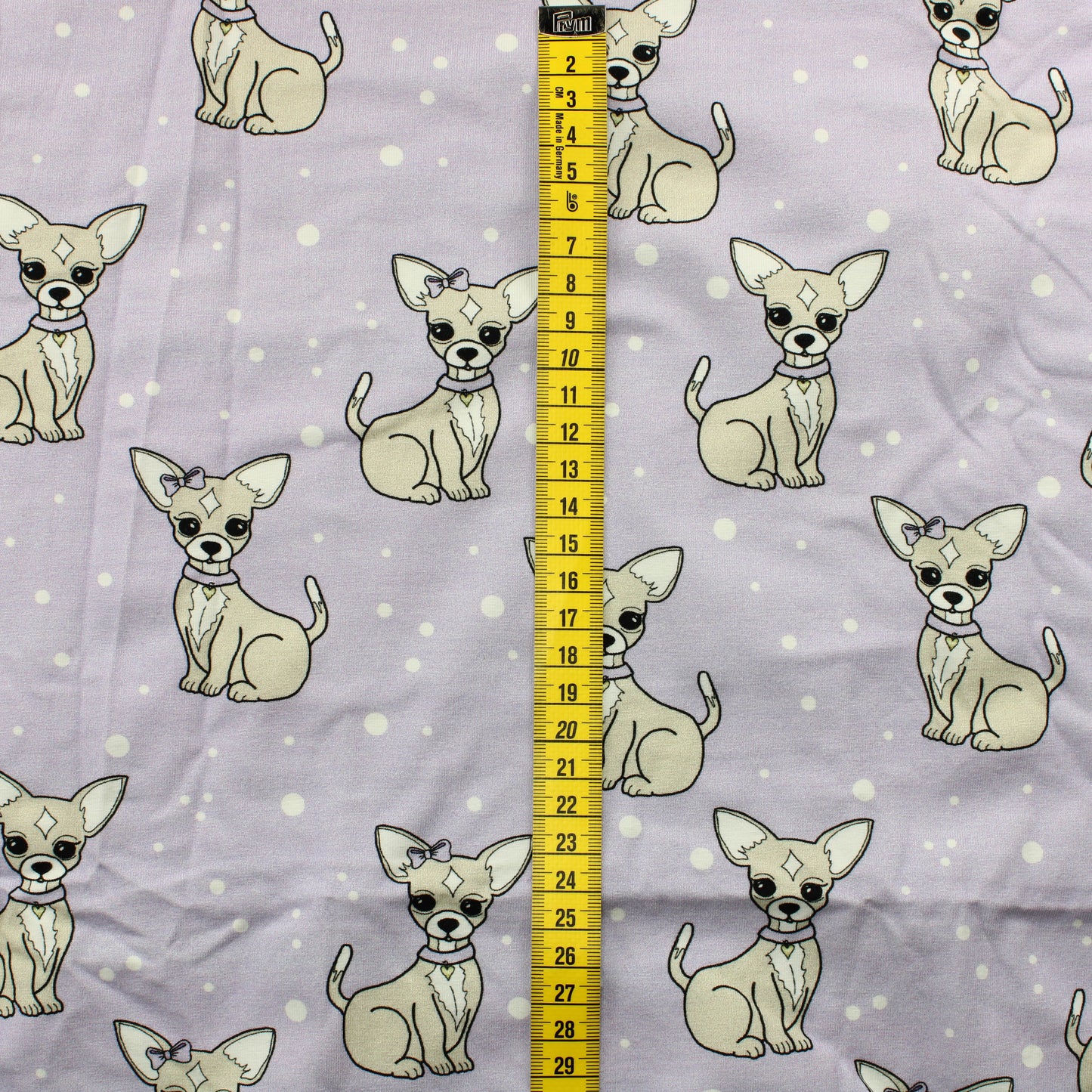 Chihuahua Trikoo - Pala