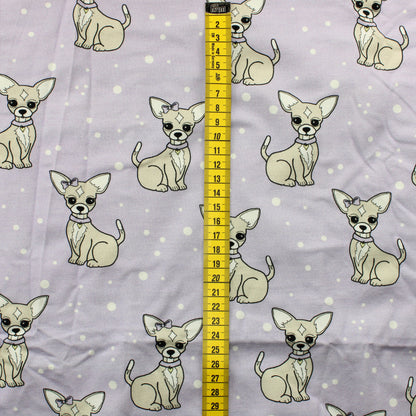 Chihuahua Trikoo - Pala