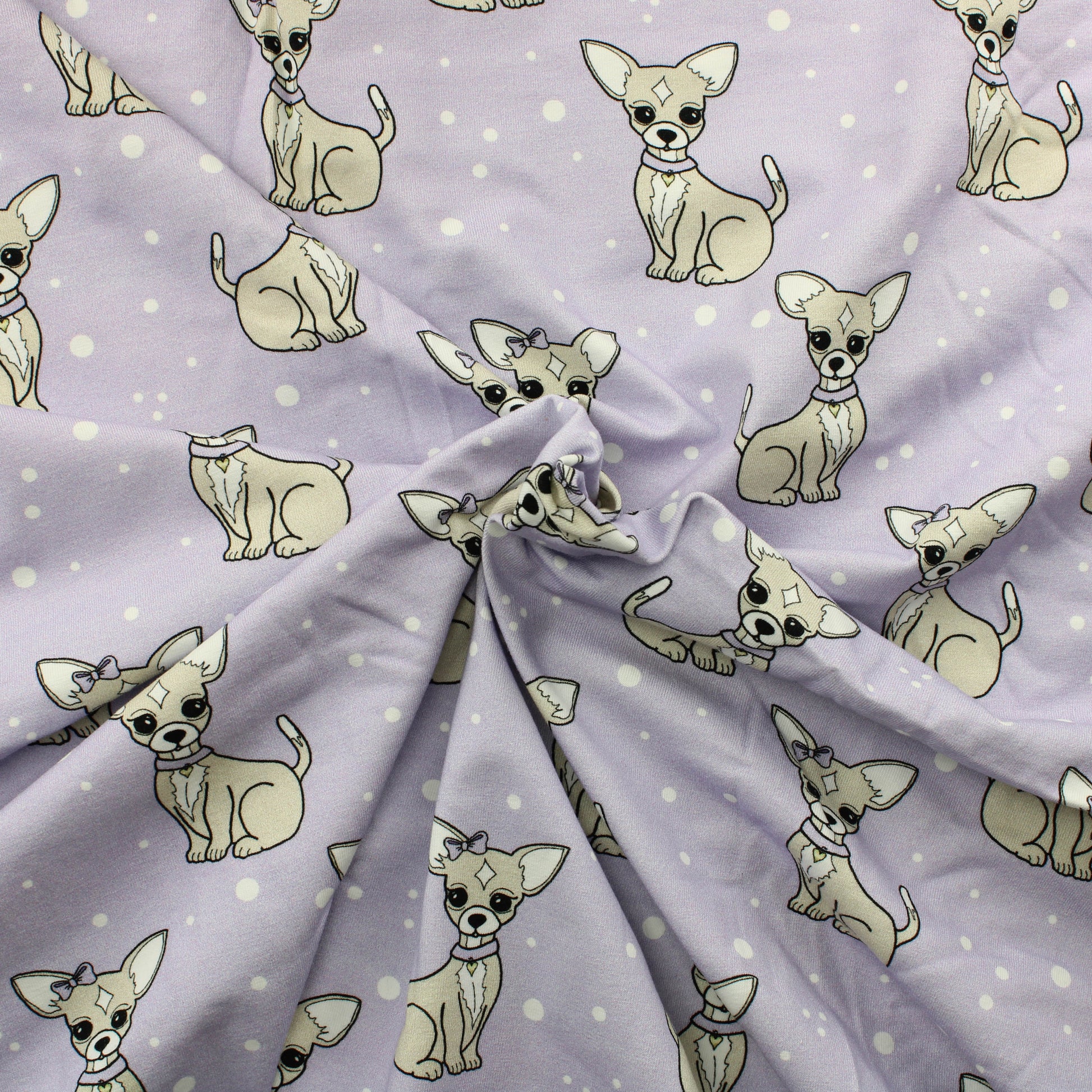 Chihuahua Trikoo - Pala