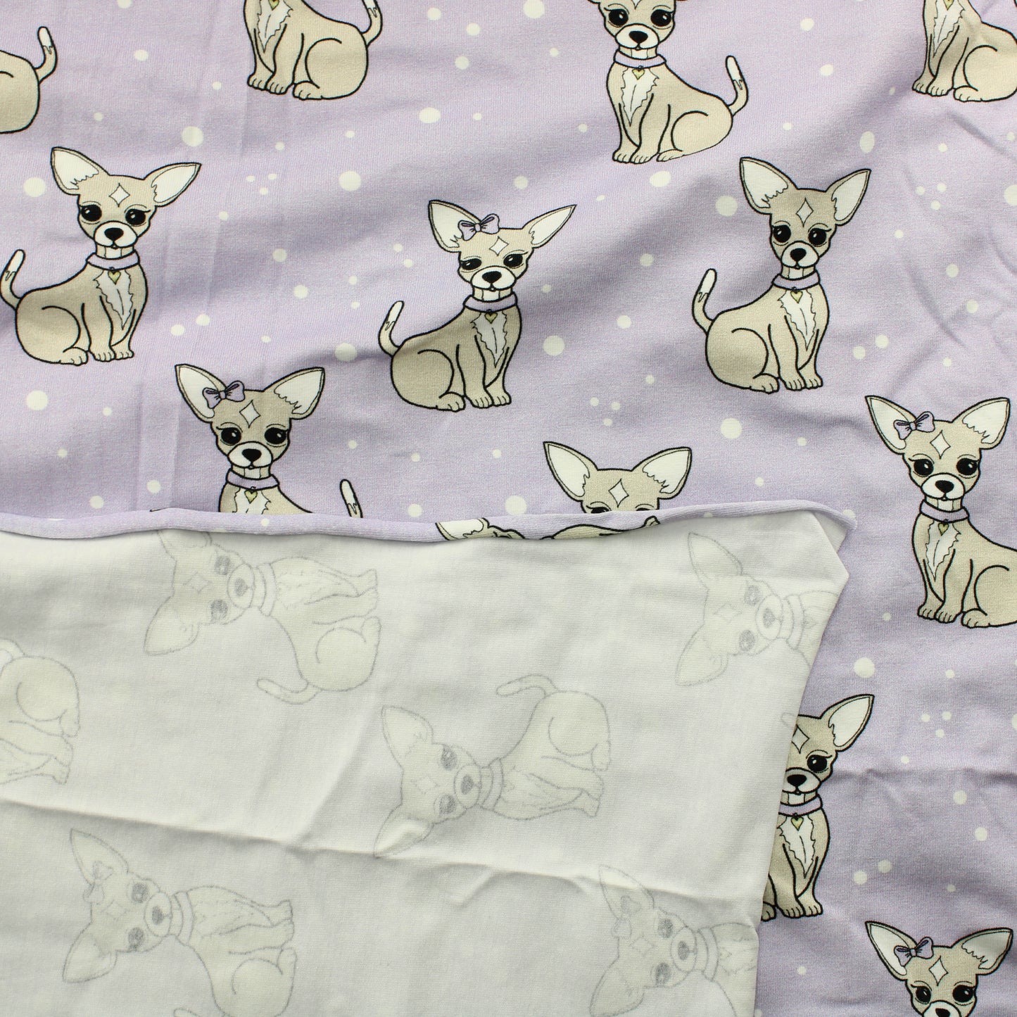 Chihuahua Trikoo - Pala