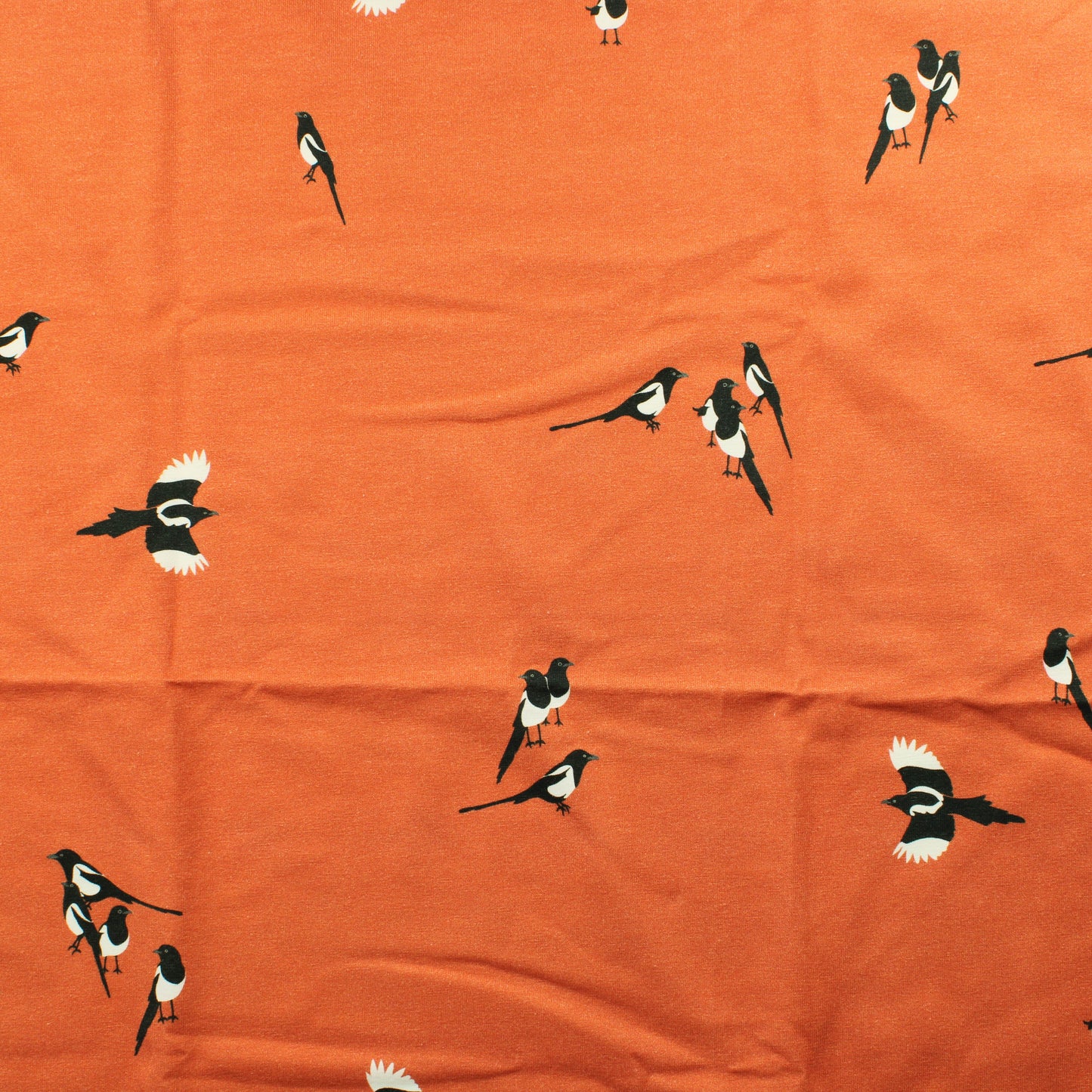 Harakka Trikoo - Pala