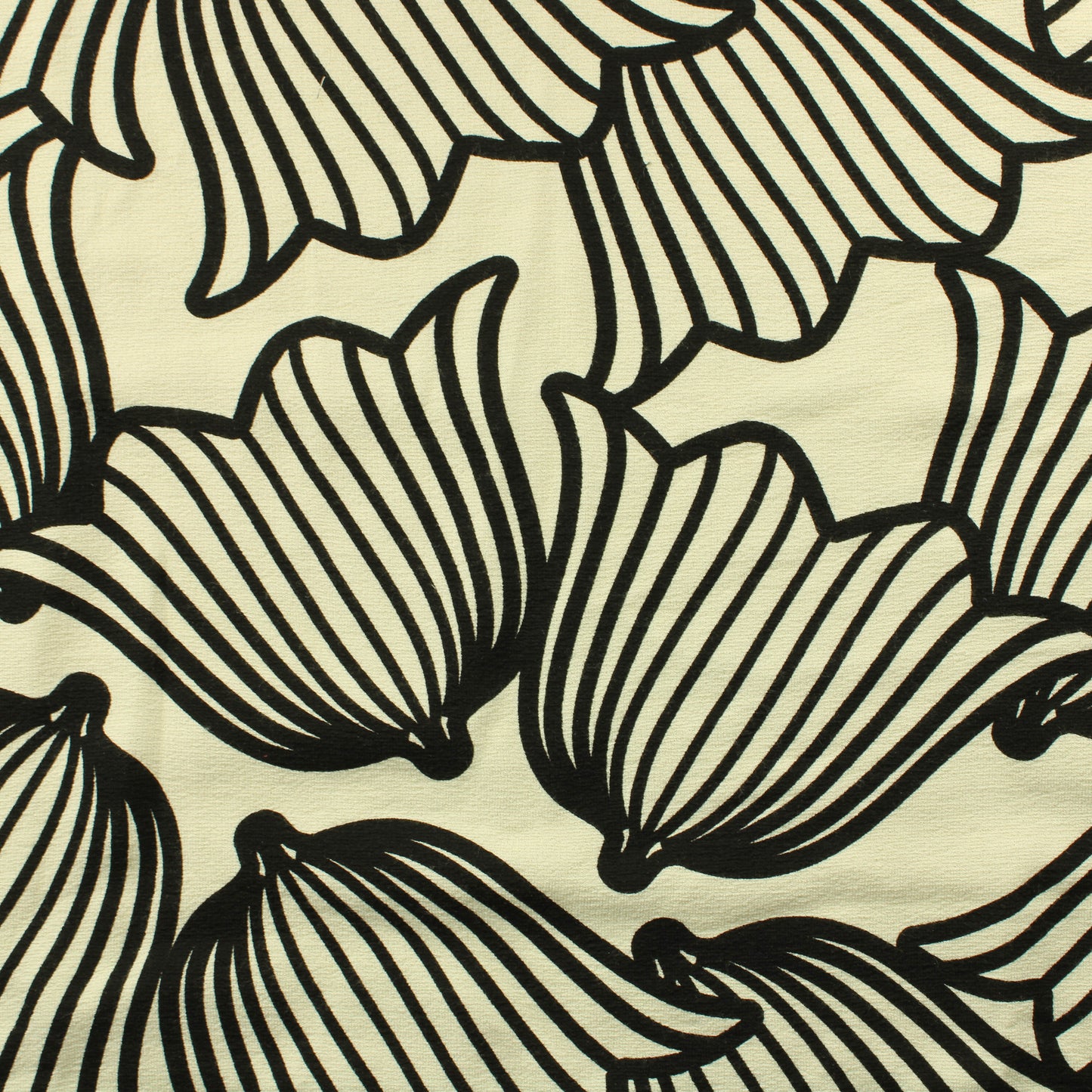 Kissankello Neulos - Pala