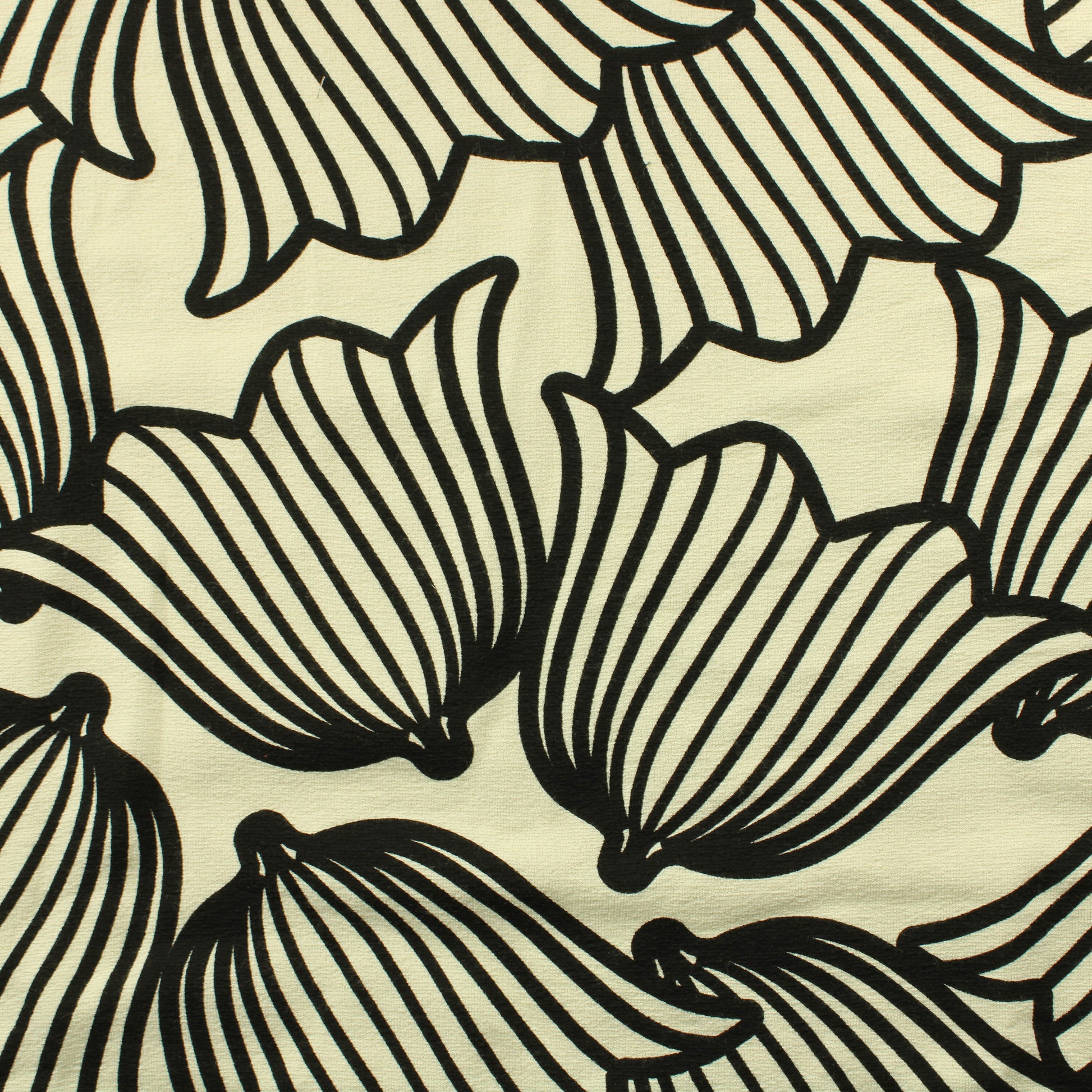 Kissankello Neulos - Pala