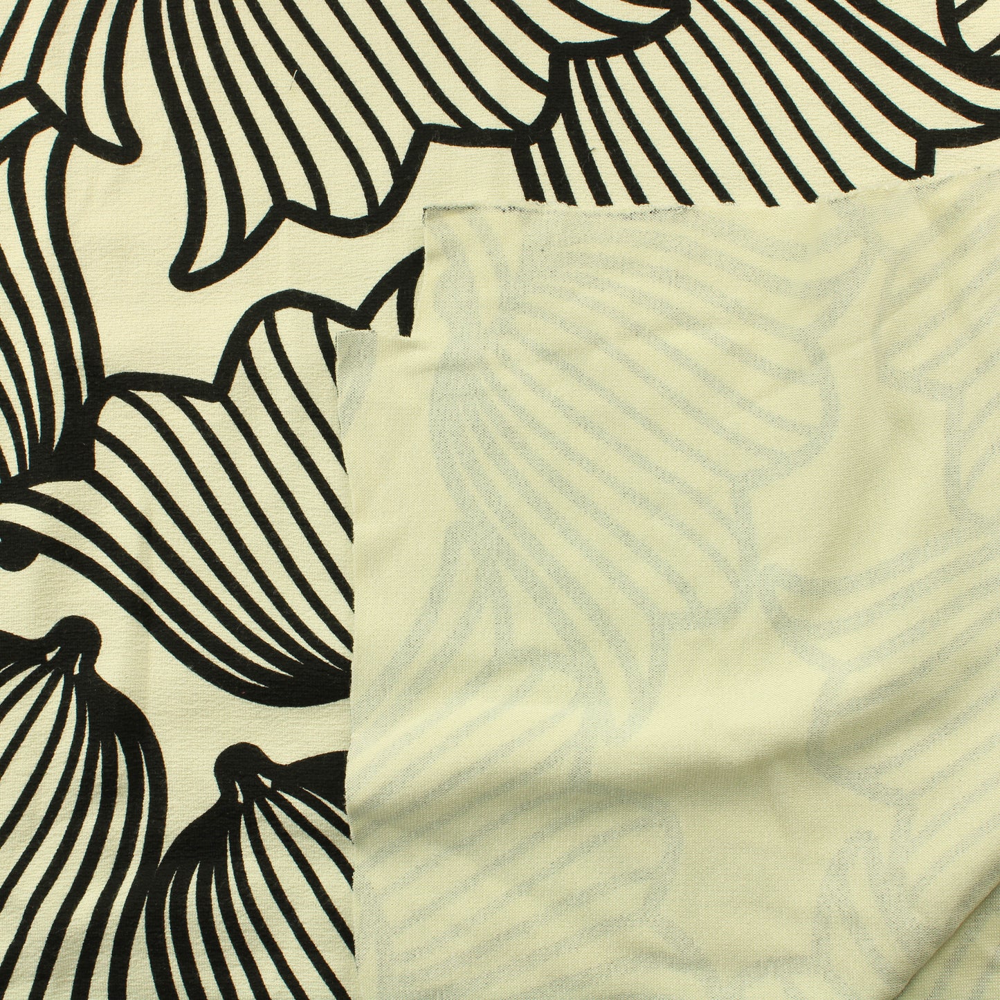 Kissankello Neulos - Pala